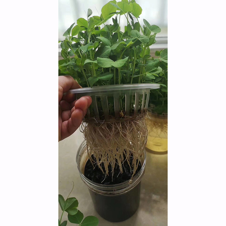 黃腐酸鉀的實(shí)驗(yàn)